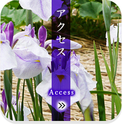 アクセス
