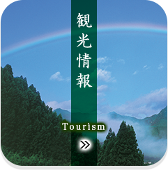 観光情報